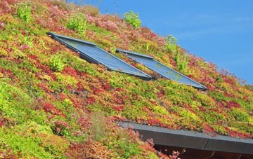 Pentre Maelor living roof systems