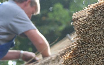 professional Pentre Maelor thatchers